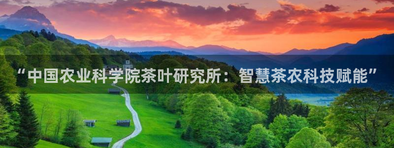 安信12平台的网址