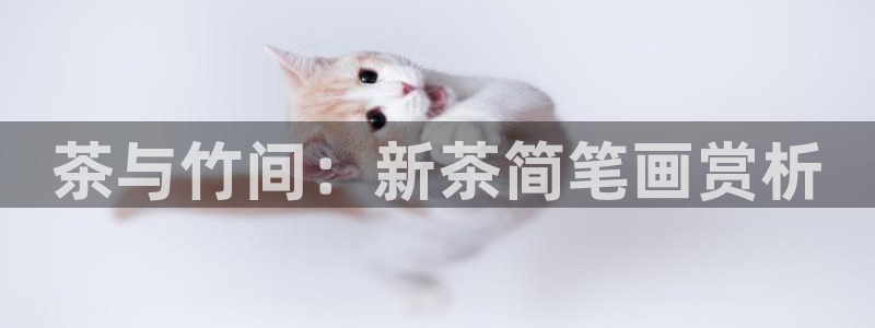 安信12位数资金号