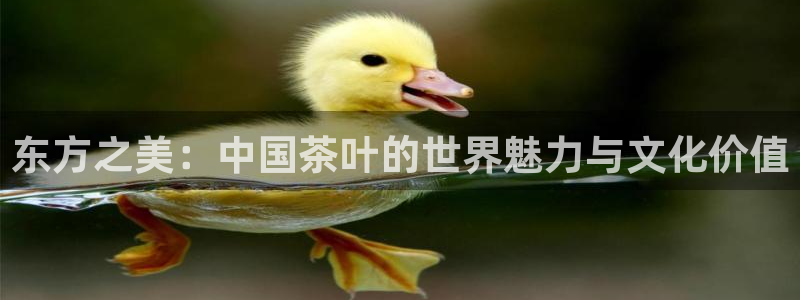 安信12正版下载