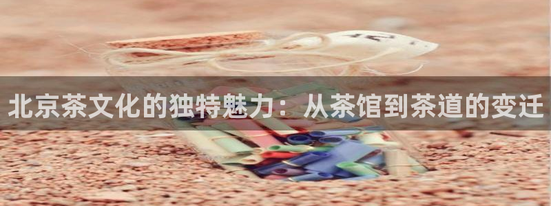 安信12赛车