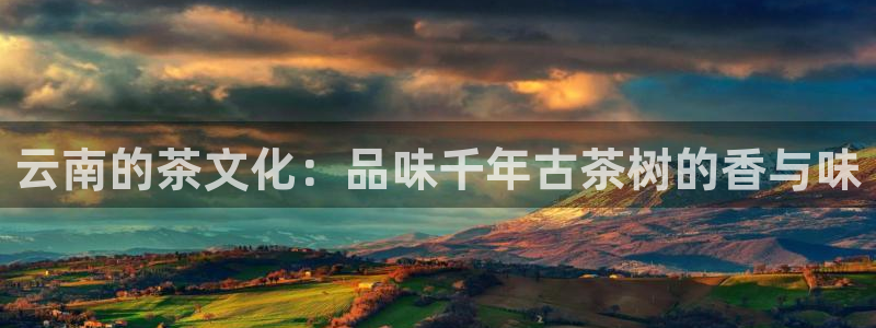 安信12app