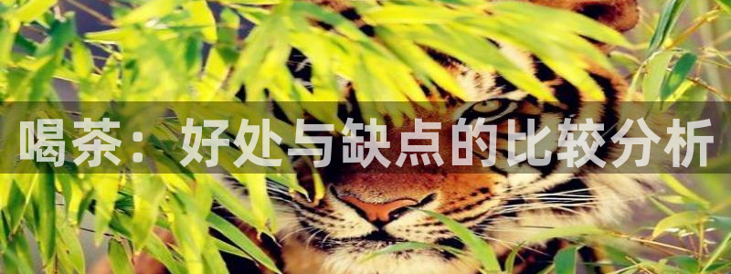 安信12登录网址