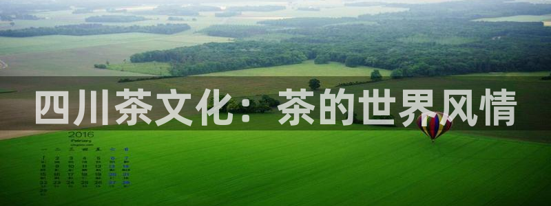 安信12正版下载