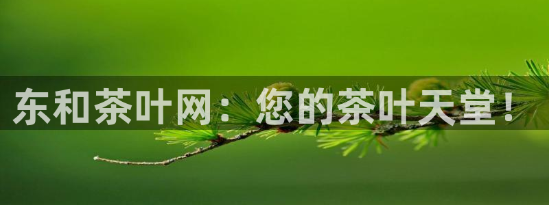 安信12平台下载
