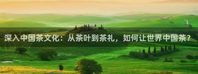 安信12开户