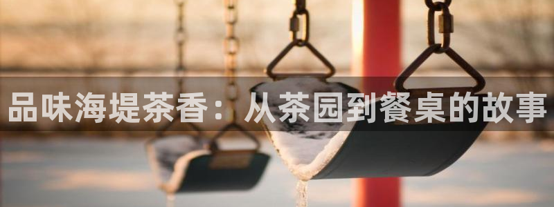 安信可12f代码