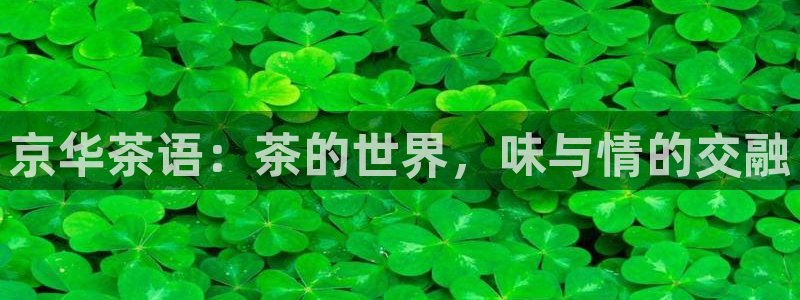 安信招商rk金12手12指jc