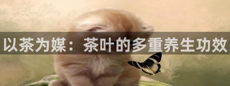安信12如何开代理