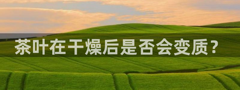 安信12