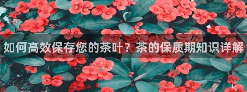 安信12平台的网址