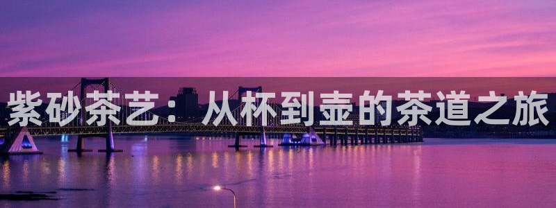 安信12官方网站查询
