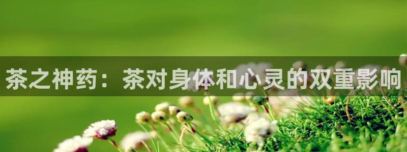 安信12专用挂机