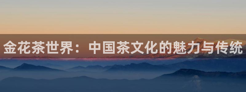 安信12是什么平台