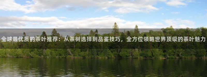 如何注销安信12软件