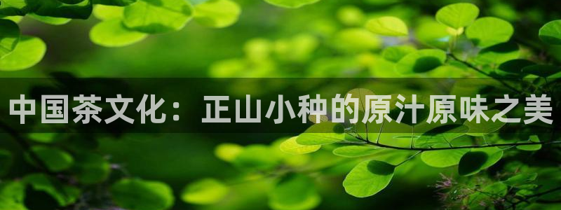 安信12下载