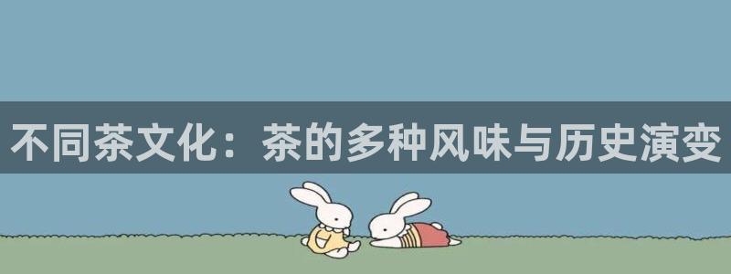 安信证券 12位
