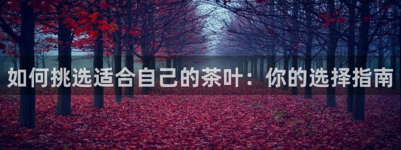 安信12平台怎么样
