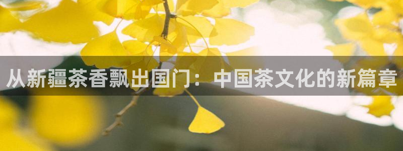 安信esp12