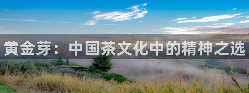 安信12如何开代理