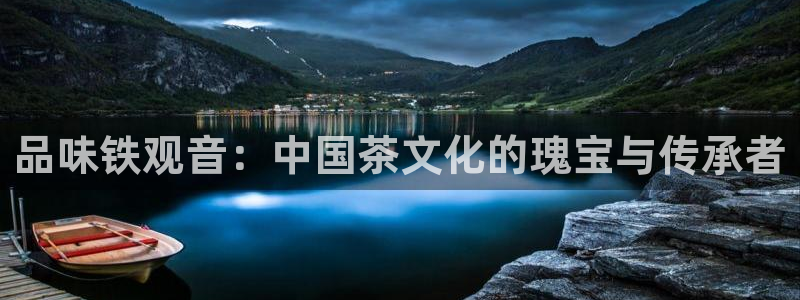 安信12是什么软件