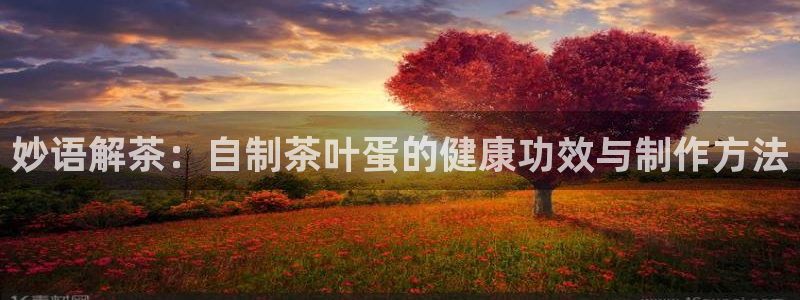 安信12软件介绍