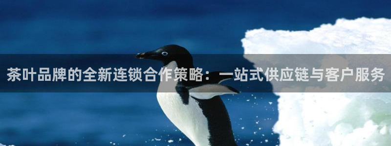 安信12想开户