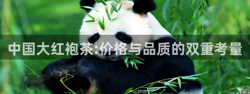 安信12注册咋7O777