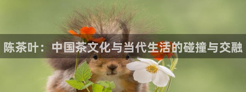 安信12是做什么