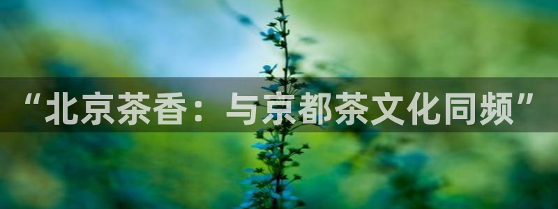 安信esp 12k