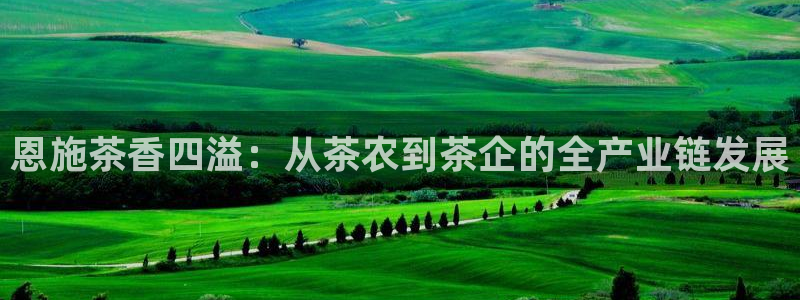 安信12官方网站查询