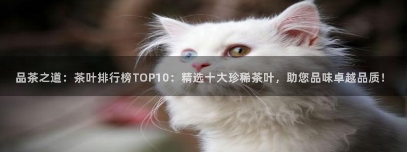 安信证券 12位
