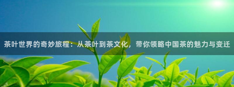 如何注销安信12软件