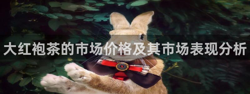 安信12专用挂机