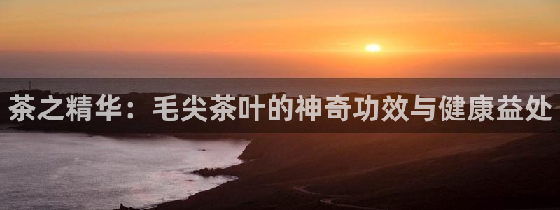 安信12位资金账号