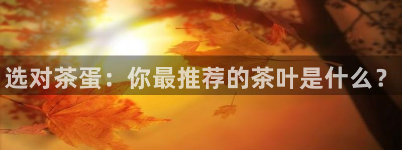 安信12娱乐招商探索空间