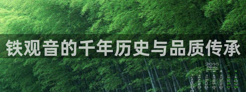 安立信T12测评
