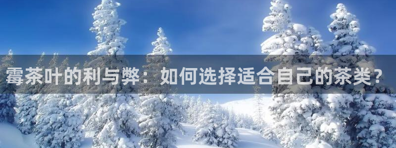 安信12周年
