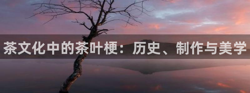 安信12app下载