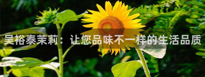 安信12是正轨网站吗