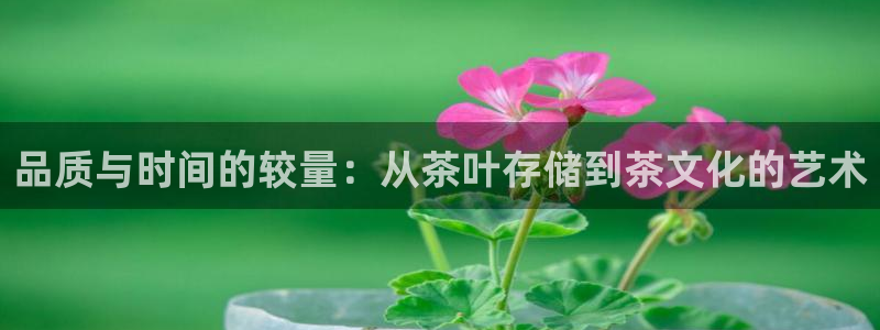 安信12代理