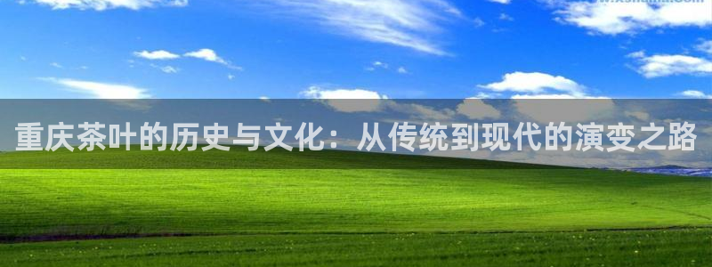 安信可f12