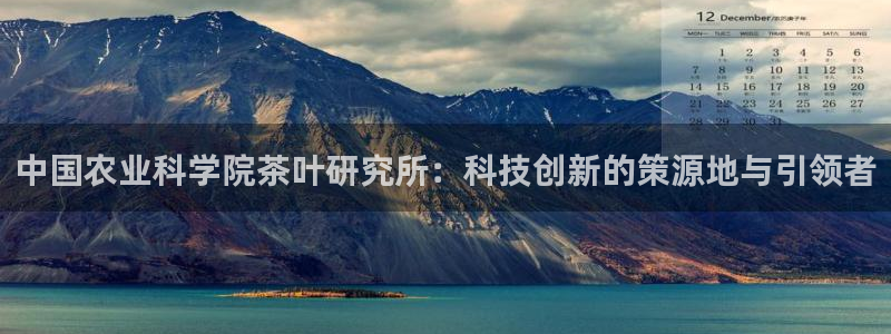 安信12级灯牌
