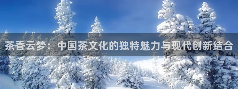 安信12位数资金号