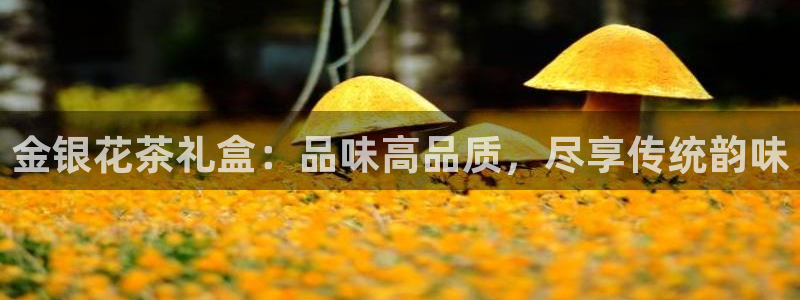 安信cwa12