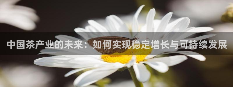 安信12是什么