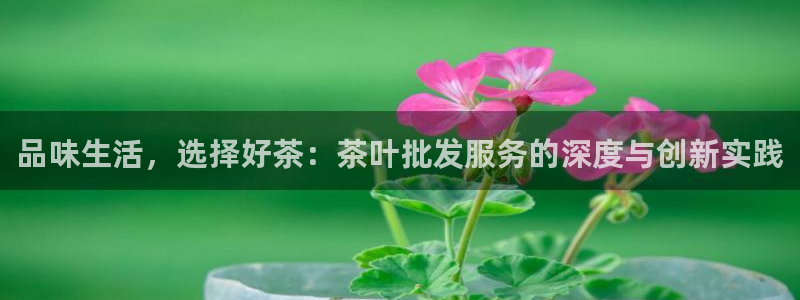 安信12登录地址