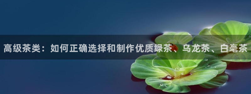 安信卓越12月