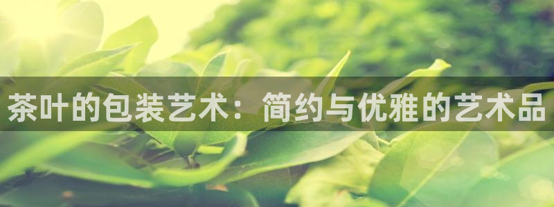 安信12包赔