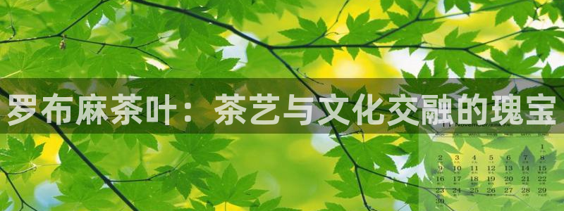 安信12级灯牌