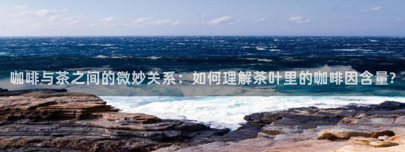 安信12娱乐招商探索空间